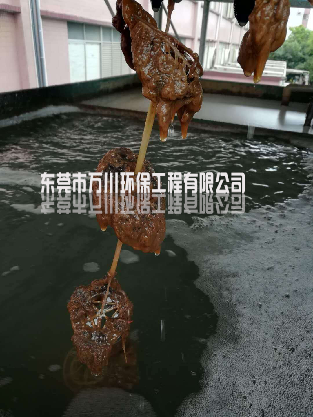 飲料廠(chǎng)廢水處理設備